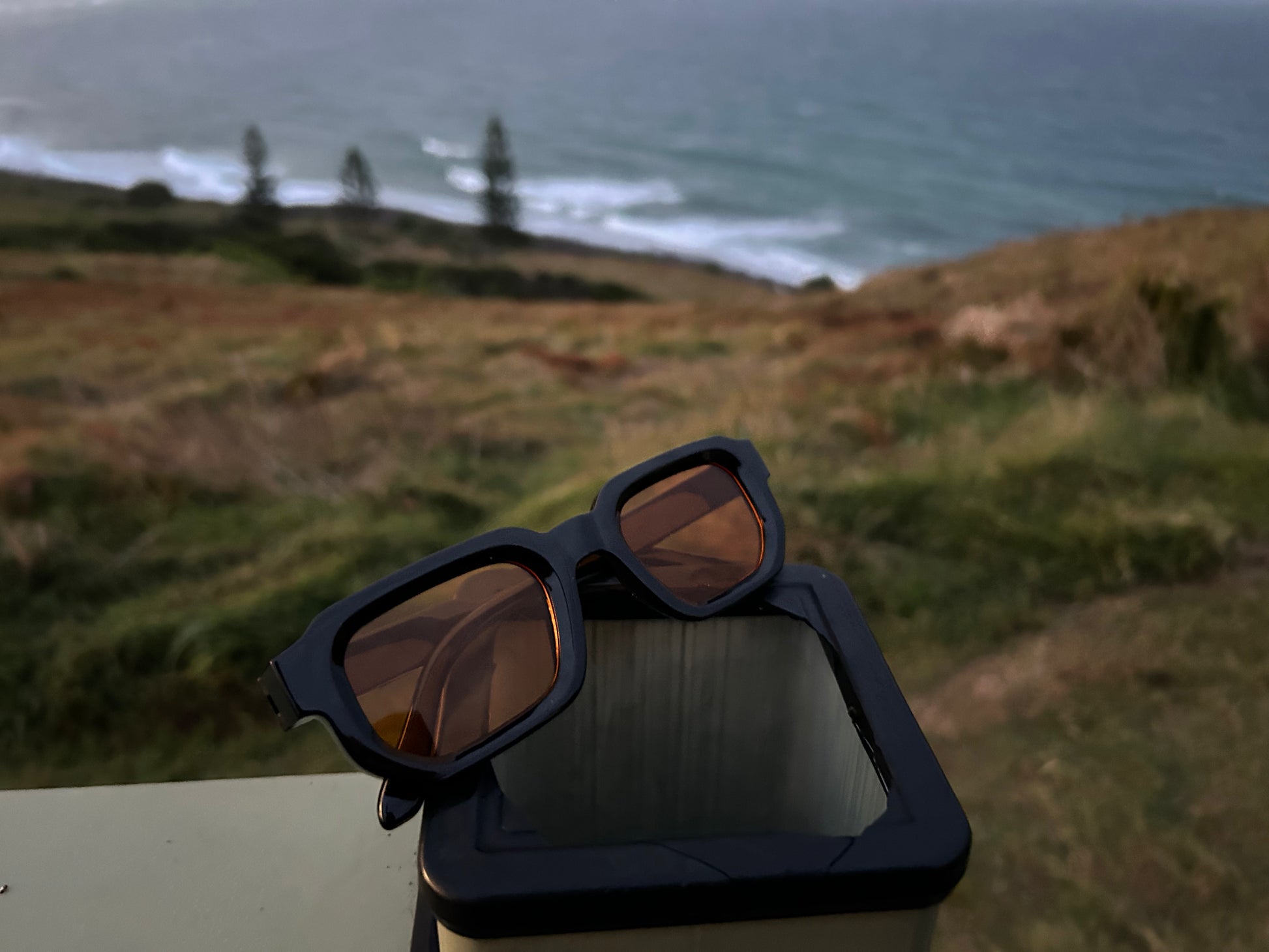 Sunglasses on a box with a scenic background of ocean and grass