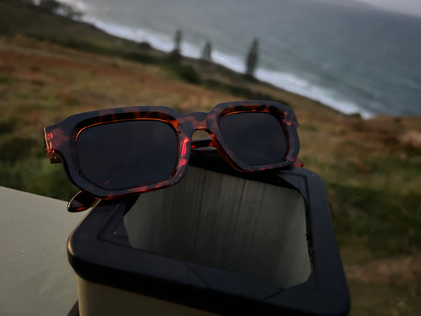 Tortoiseshell sunglasses on a reflective surface with a blurred coastal background
